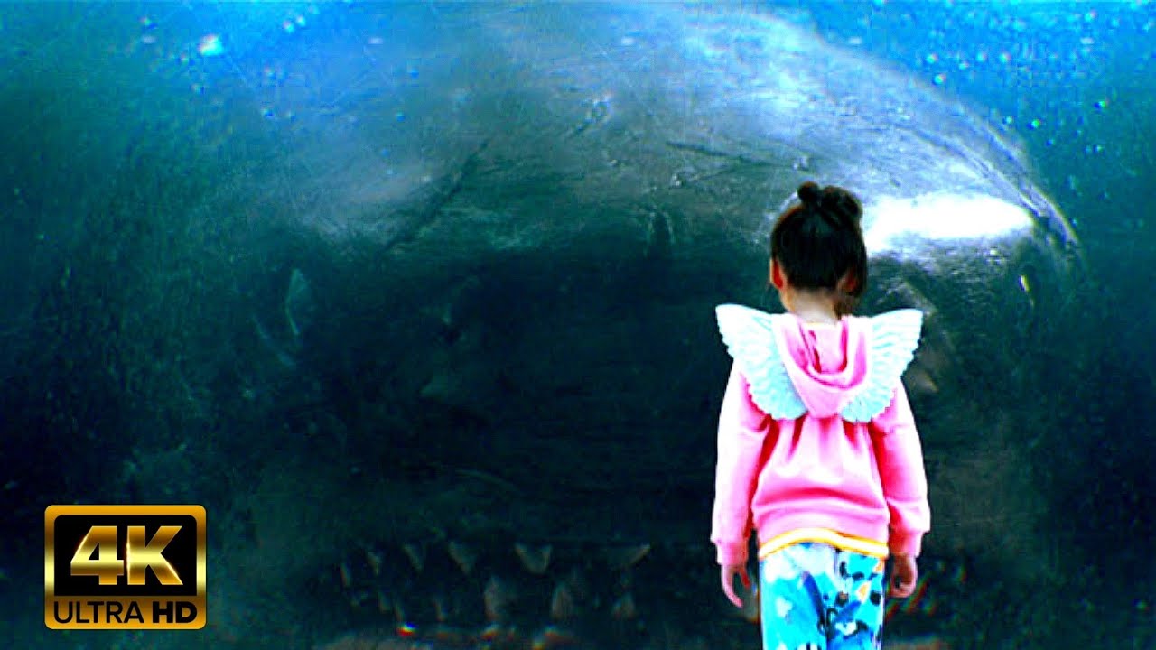 megalodon Bites The Glass - The Meg (2018) movie clip [4K]