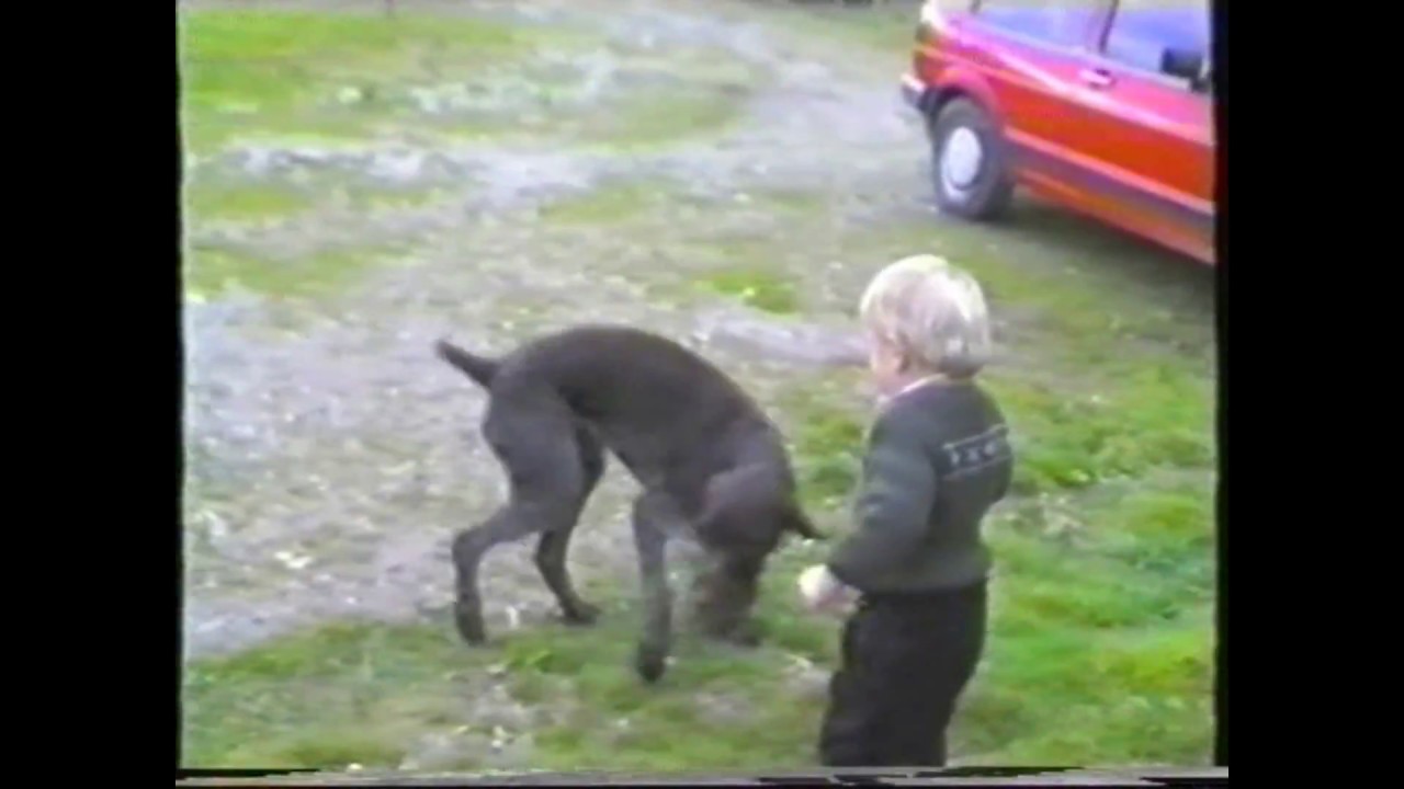 Vergangene Zeiten auf der Unterwandalm