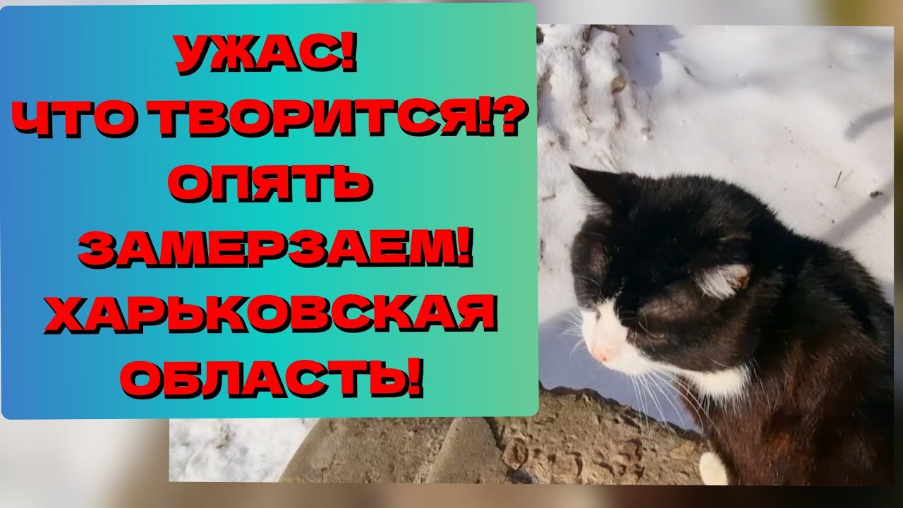 2. ХАРЬКОВ/ЗМИЁВ. КАК ДЕНЬ ПРОШЁЛ!? ХОЛОД СКОВАЛ! ТРИ КОФТЫ НЕ ПОМОГАЮТ! СРОЧНО ТРЕБУЕТСЯ ВАШ СОВЕТ!