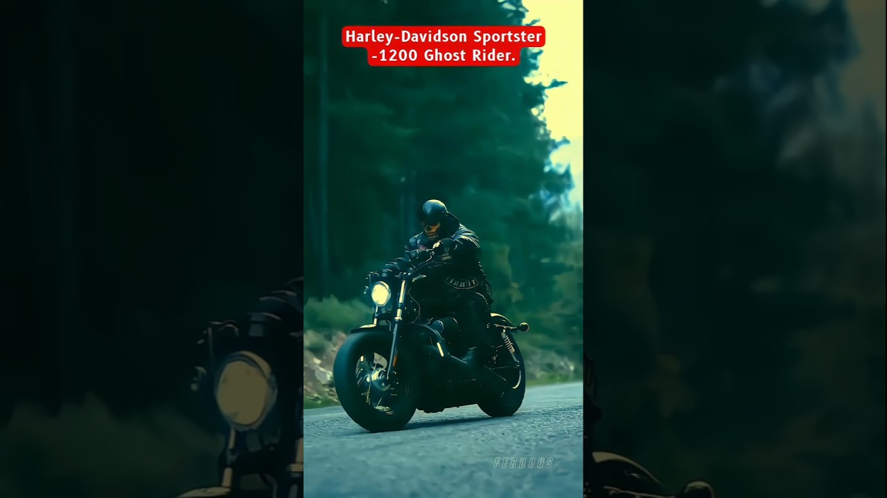 The Harley-Davidson Sportster 1200 is a popular model known for its customizability - 