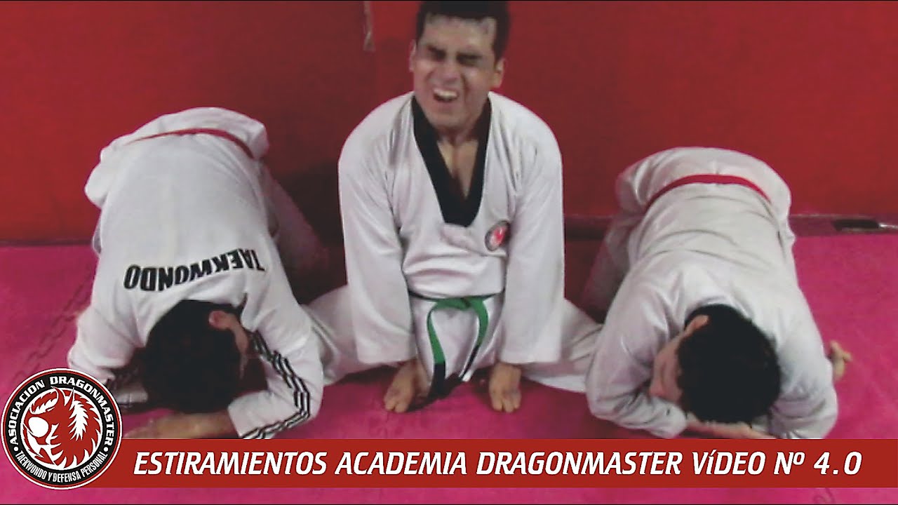 ESTIRAMIENTOS ACADEMIA DRAGONMASTER PARTE 4.0