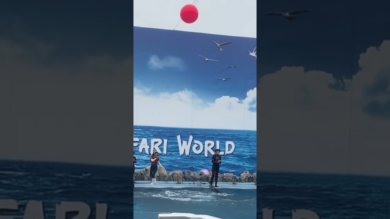 Watch till the end… 
