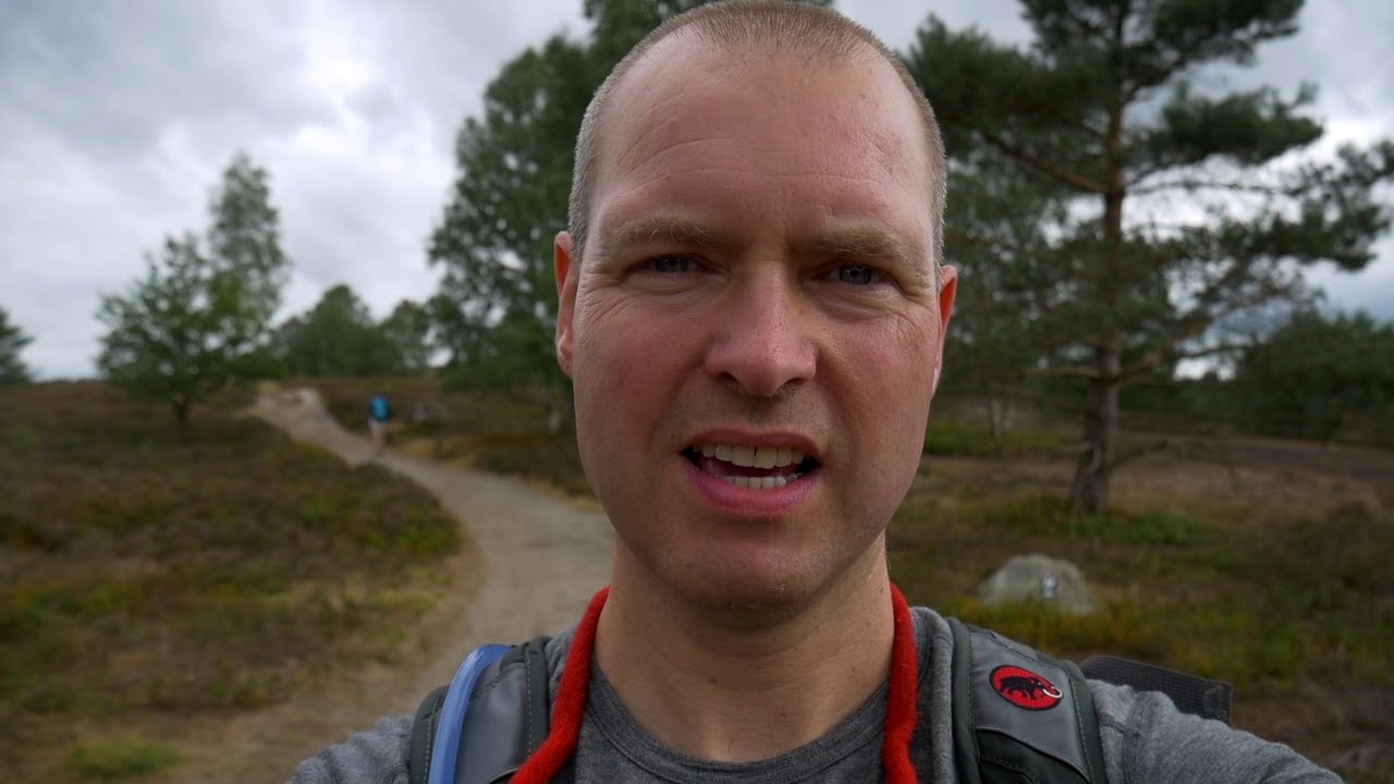 Wanderung von Holm-Seppensen zum Brunsberg, zum Büsenbachtal und zur Seppenser Mühle
