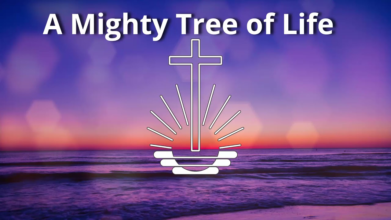 NAC Acapella Hymn Covers: A Mighty Tree of Life