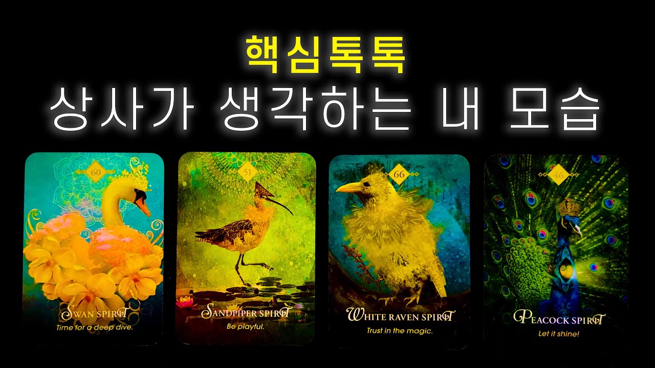 빠르게 보는 타로 | 상사가 생각하는 내 모습은 어떨까? 👨‍💼🧑‍💼