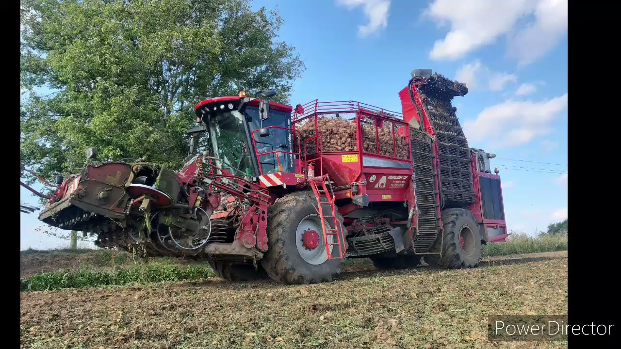 Vyorávanie cukrovej repy | Holmer T430 | PD Ludanice