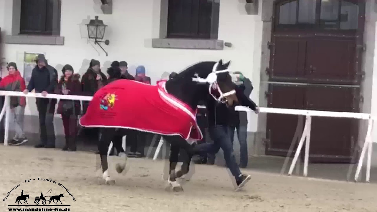 Envol2019