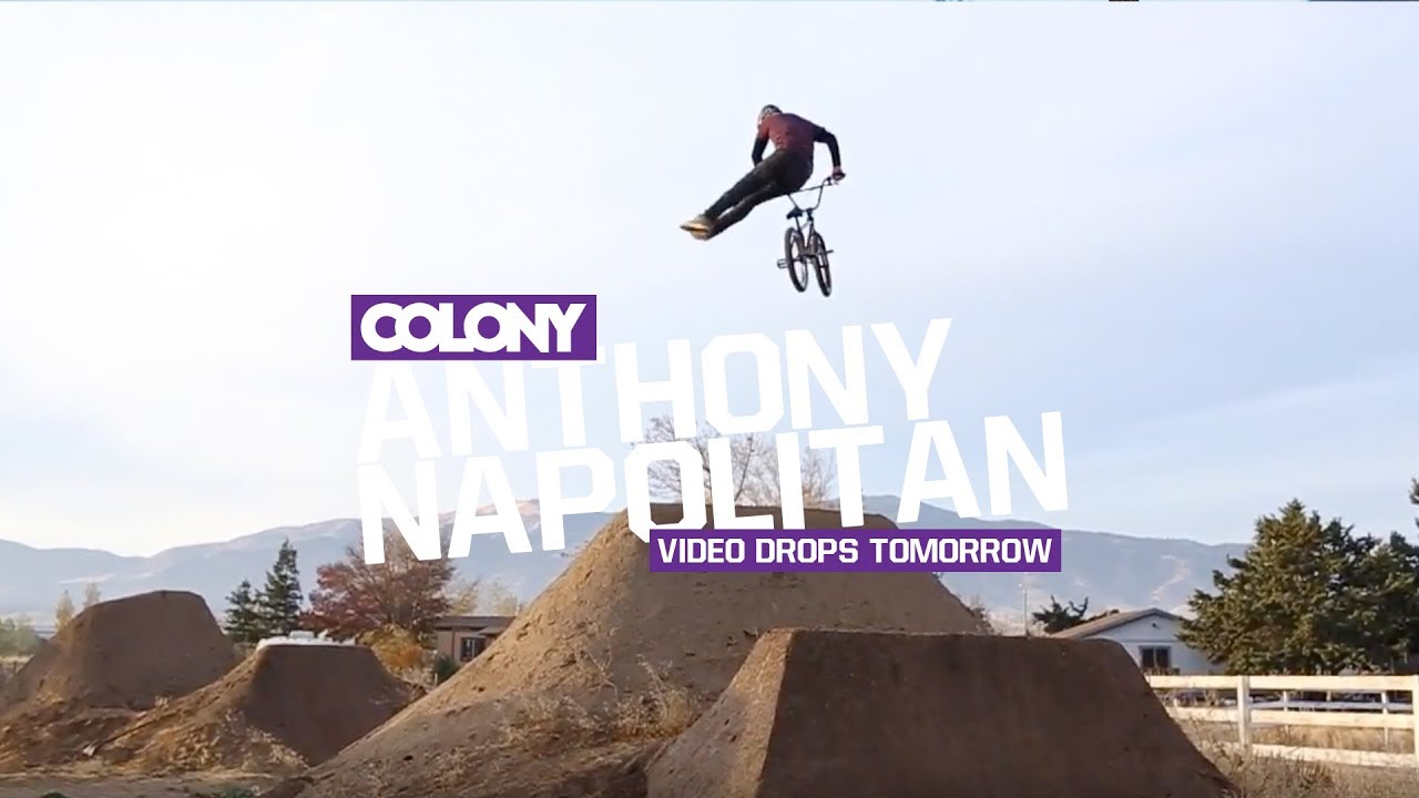 Anthony Napolitan video dropping tomorrow