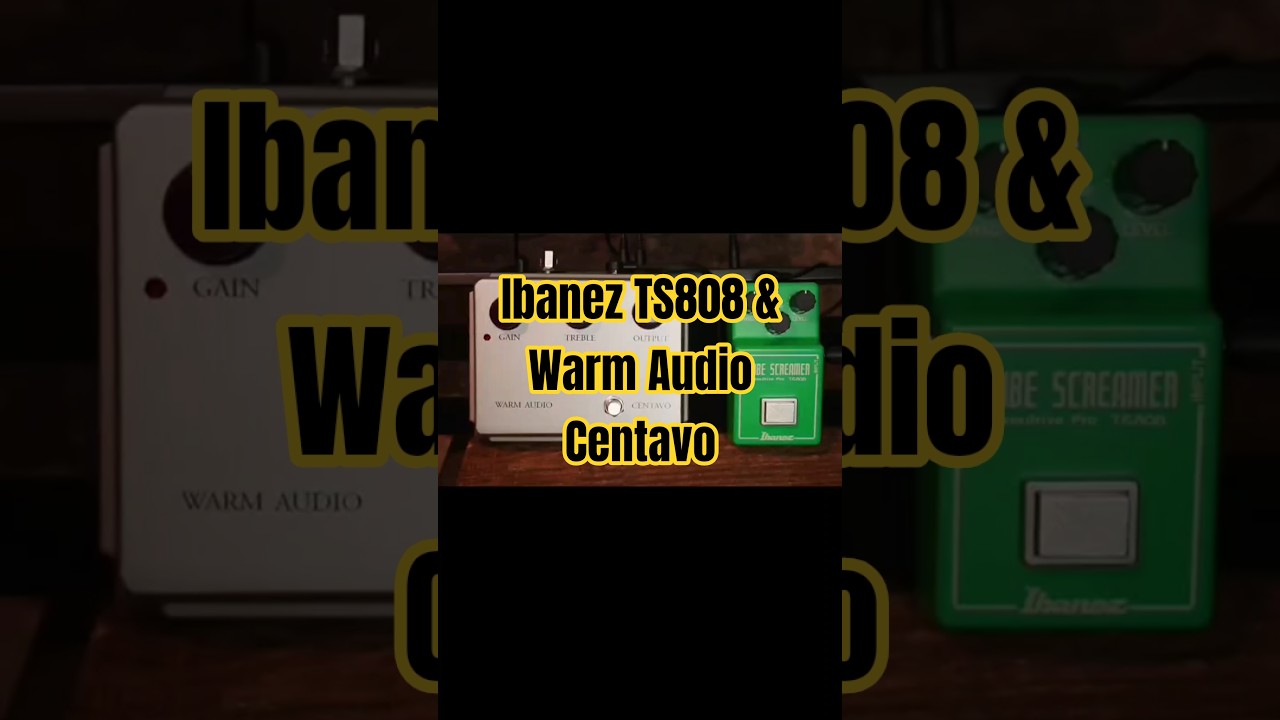 Ibanez TS808 & Warm Audio Centavo 
