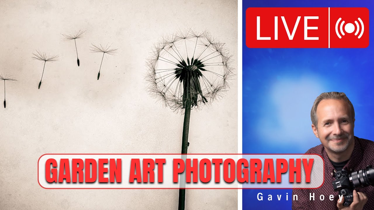 Как создать фотоискусство-силуэт в своем саду... ВЖИВУЮ!