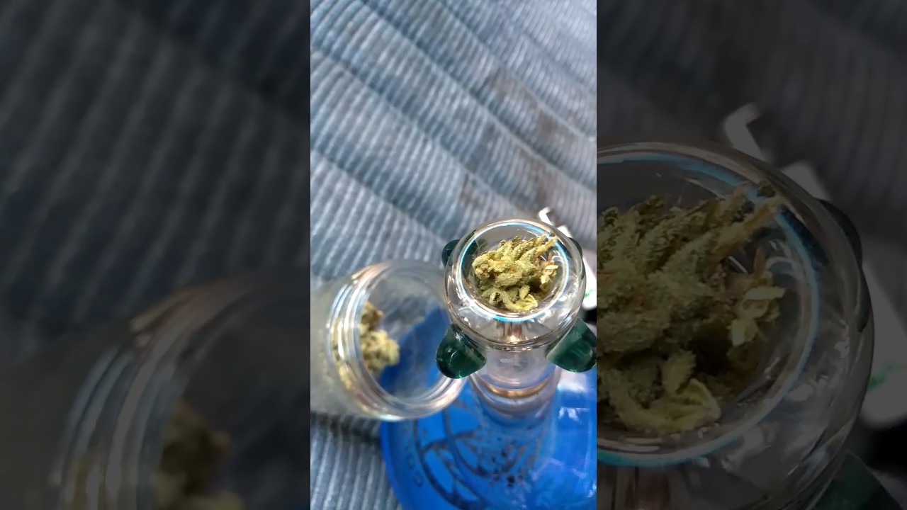 The weed feed