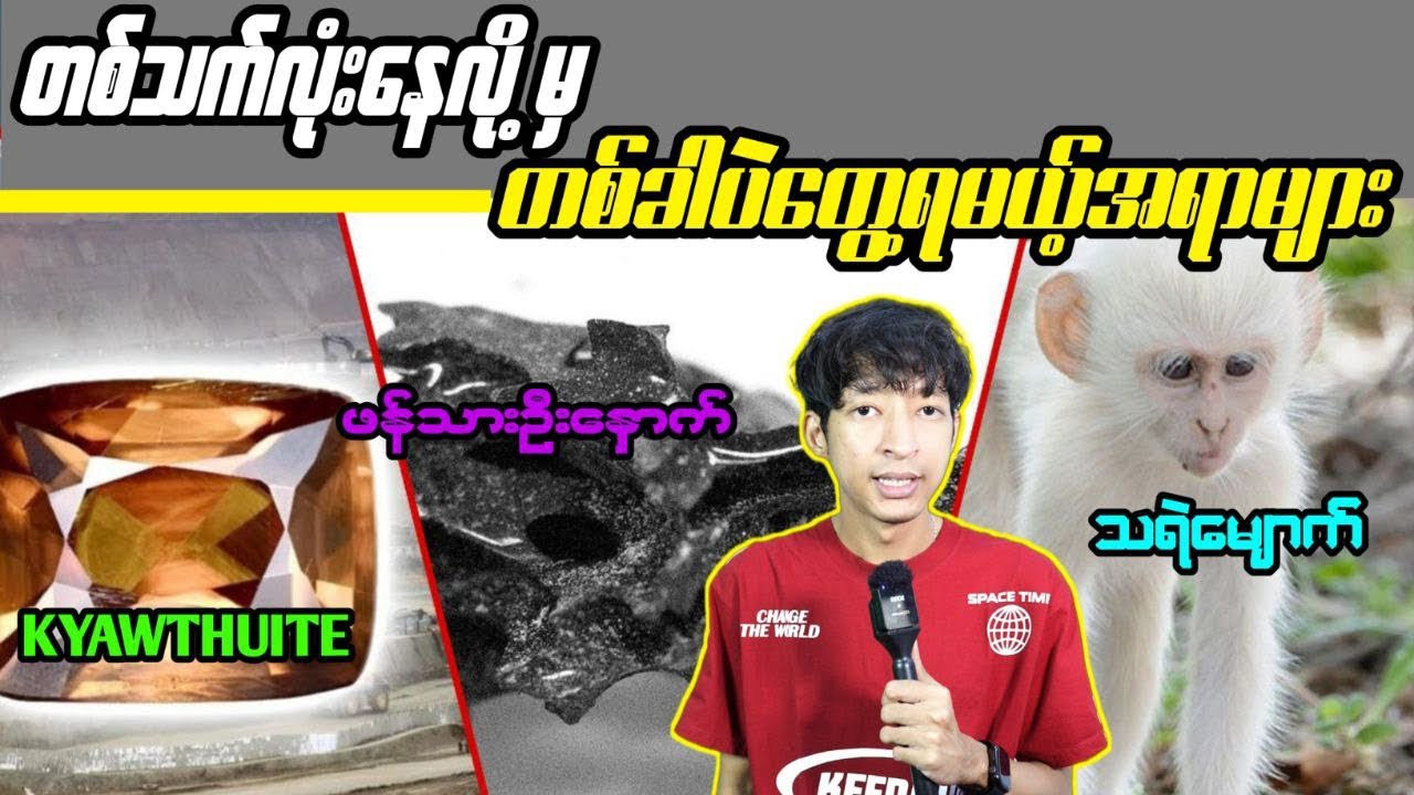 တစ်သက်လုံးနေလို့မှ တစ်ခါပဲတွေ့ရမယ့်အရာများ#LinnthitUniverse #Linnthit #SportsBox #KissingBox