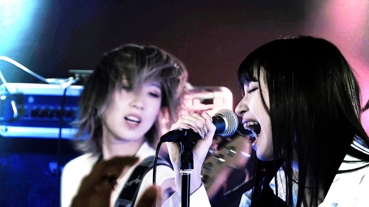 BRATS - No more No more (Live Video)