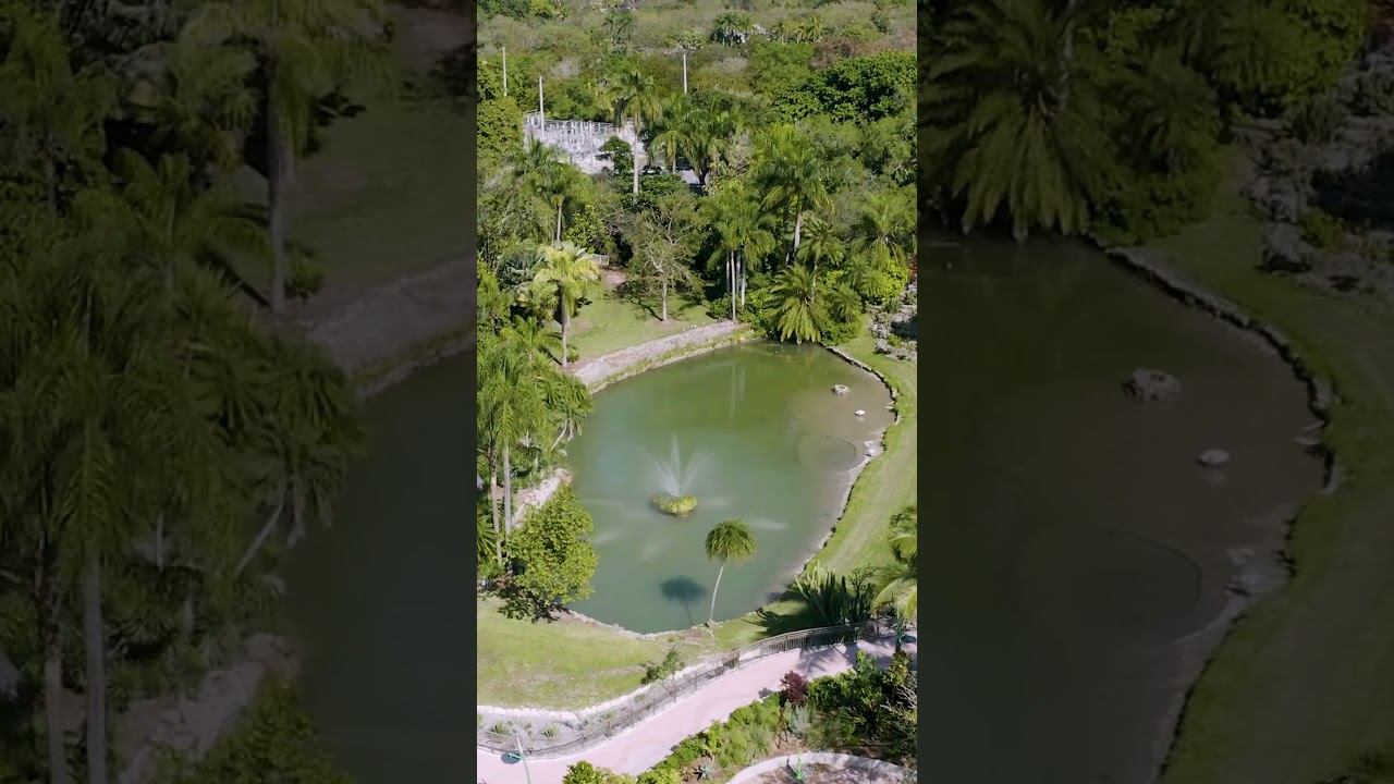 Pinecrest Gardens | A Miami Gem