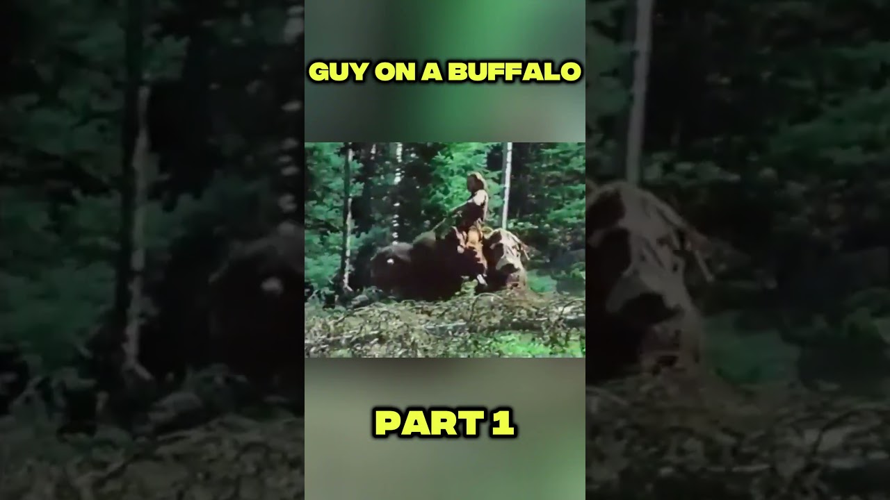Guy On A Buffalo: Episode 1