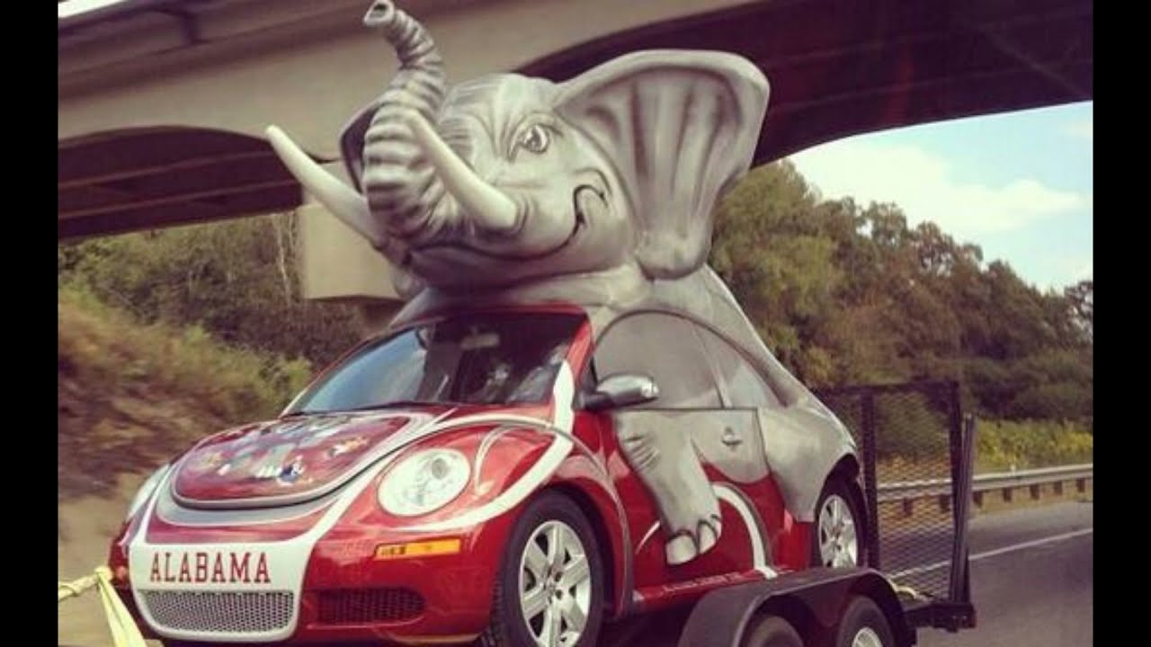 Cursed Car Images With Minecraft Cave Sounds.