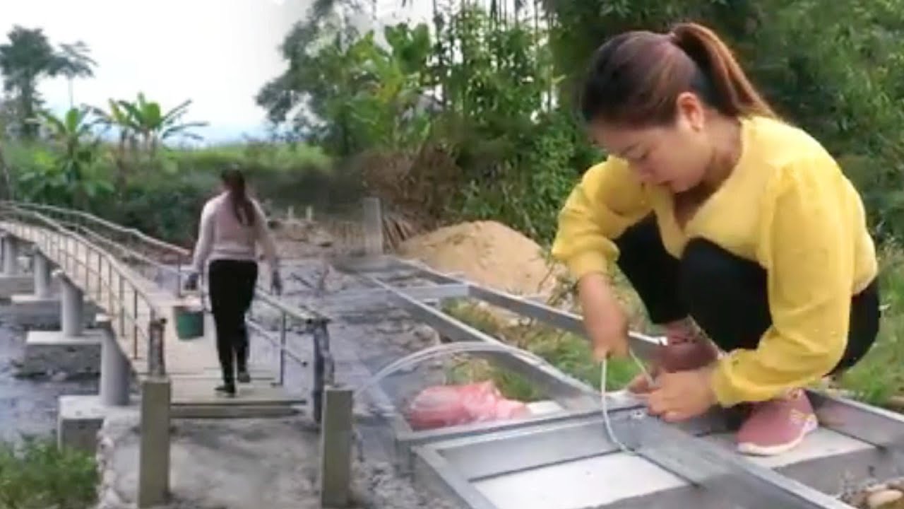 WANITA !! membangun jembatan diatas sungai seorang diri DIY MENAKJUBKAN by @DungBushcraft dq4cu