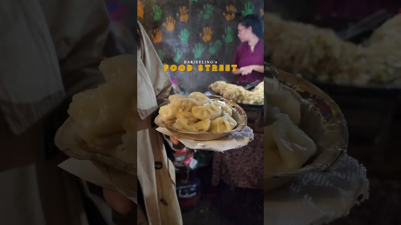 BEST STREET FOODS in Darjeeling! #darjeeling #mountains #streetfood #winter #momos