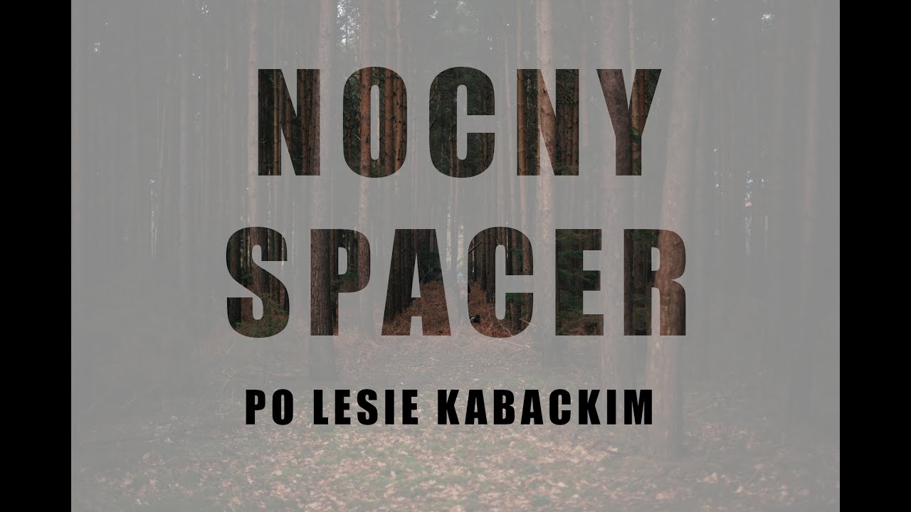 Nocny spacer po Lesie Kabackim