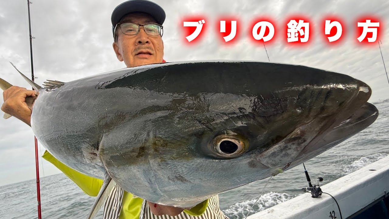 【ブリの釣り方】青物釣り初心者必見！アジのノマセ釣りを徹底解説。海蓮丸で青物を簡単に釣る方法をご紹介します