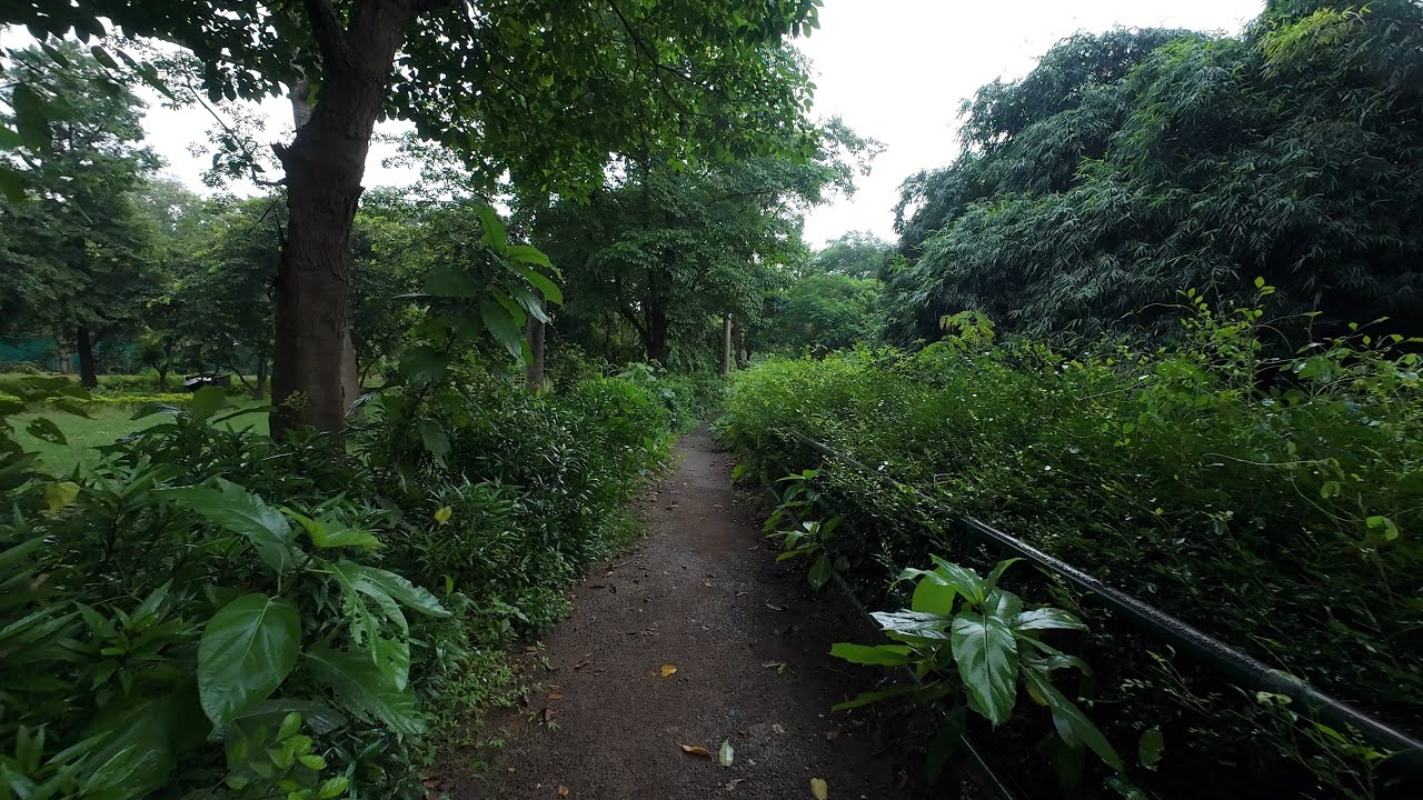 Tata Steel Zoological Park: A Walk in the Rain 🌧️