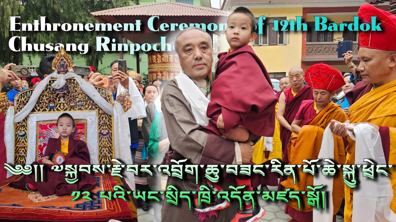 Enthronement offering Ceremony of Young Reincarnation 12th Bardok Chusang Rinpoche #reincarnation