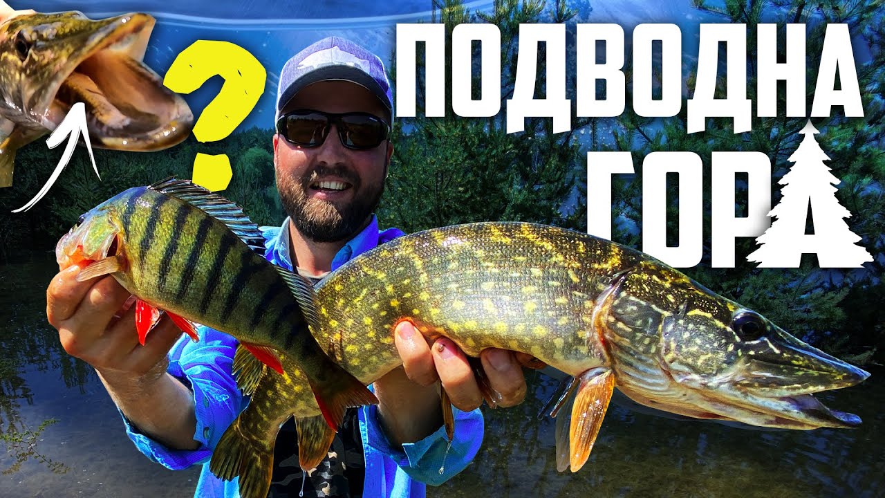 КАКВО ОТКРИХ В  КОРЕМА НА ЩУКА?!? NORSTREAM INVICT 2 ТЕСТ. Риболов на костур и щука на попър