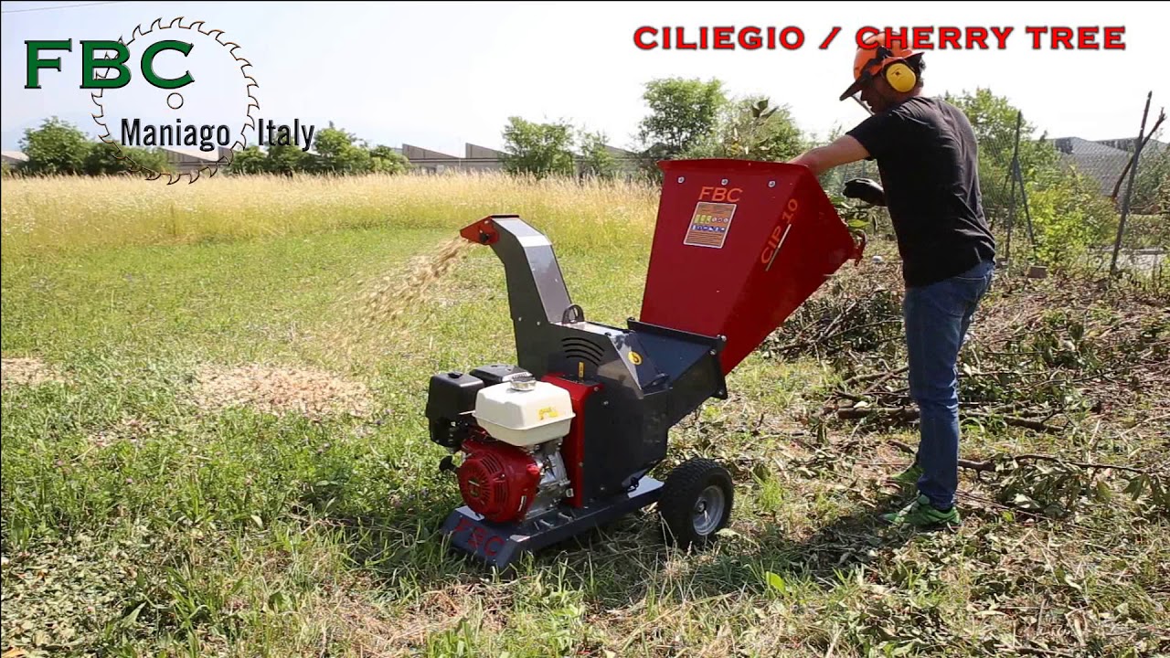 cip 10 ciliegio