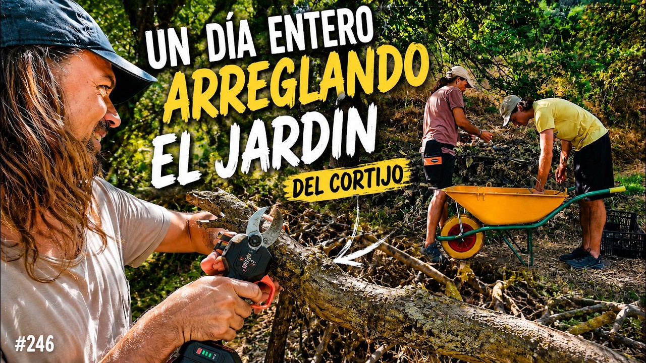 #246 | Un d&iacute;a entero arreglando el jard&iacute;n del cortijo 🌿 con tijeras el&eacute;ctricas de poda
