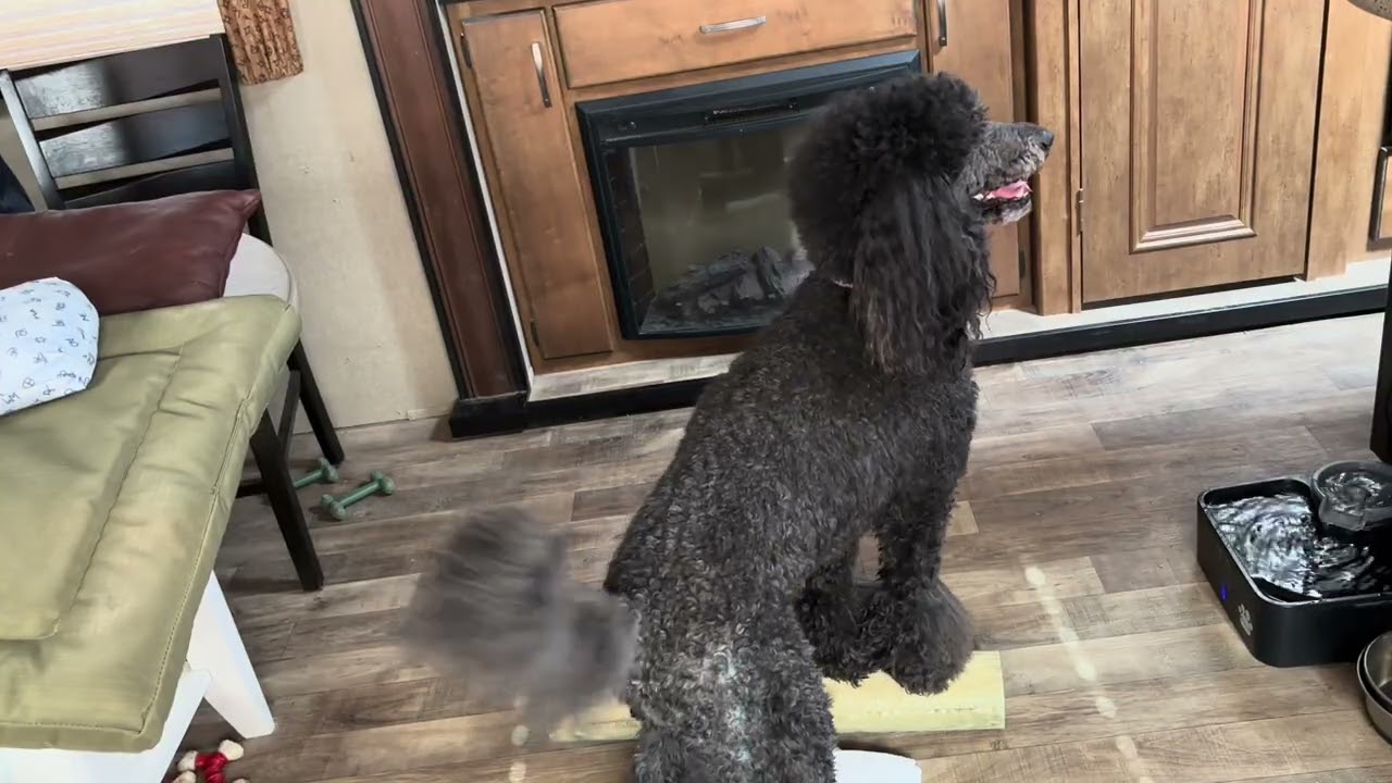 Bouclé_F3000_Video 4