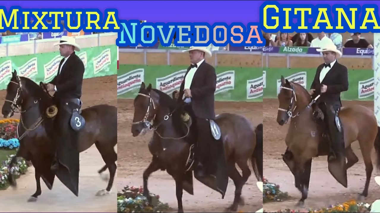 MIXTURA - GITANA - NOVEDOSA competencia yeguas mayores de 100 meses feria de las flores 2023