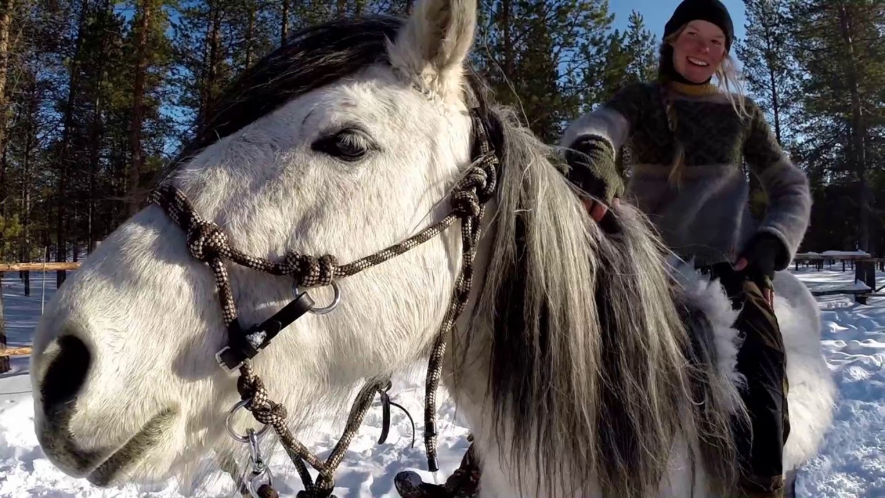 Together with Luna and Entro in the deep snow