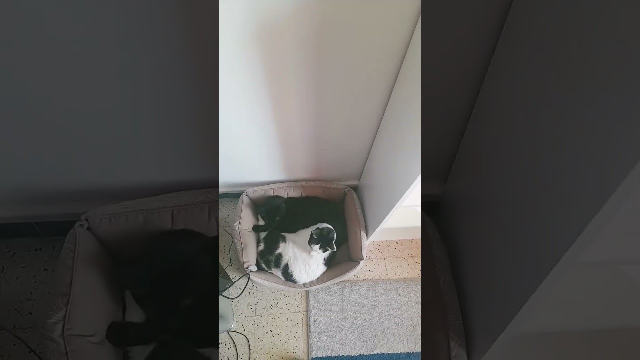 Toujours ici?