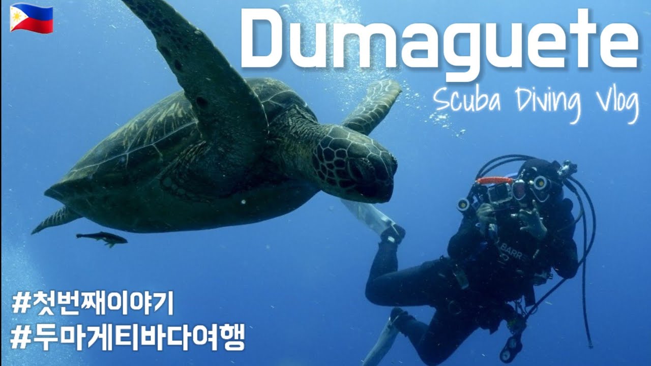 필리핀 두마게티 스쿠버다이빙#1 ㅣ 두바하다이브리조트 ㅣ 멀지만 가치있는 그 곳 두마게티 ㅣDiving vlog 해외편
