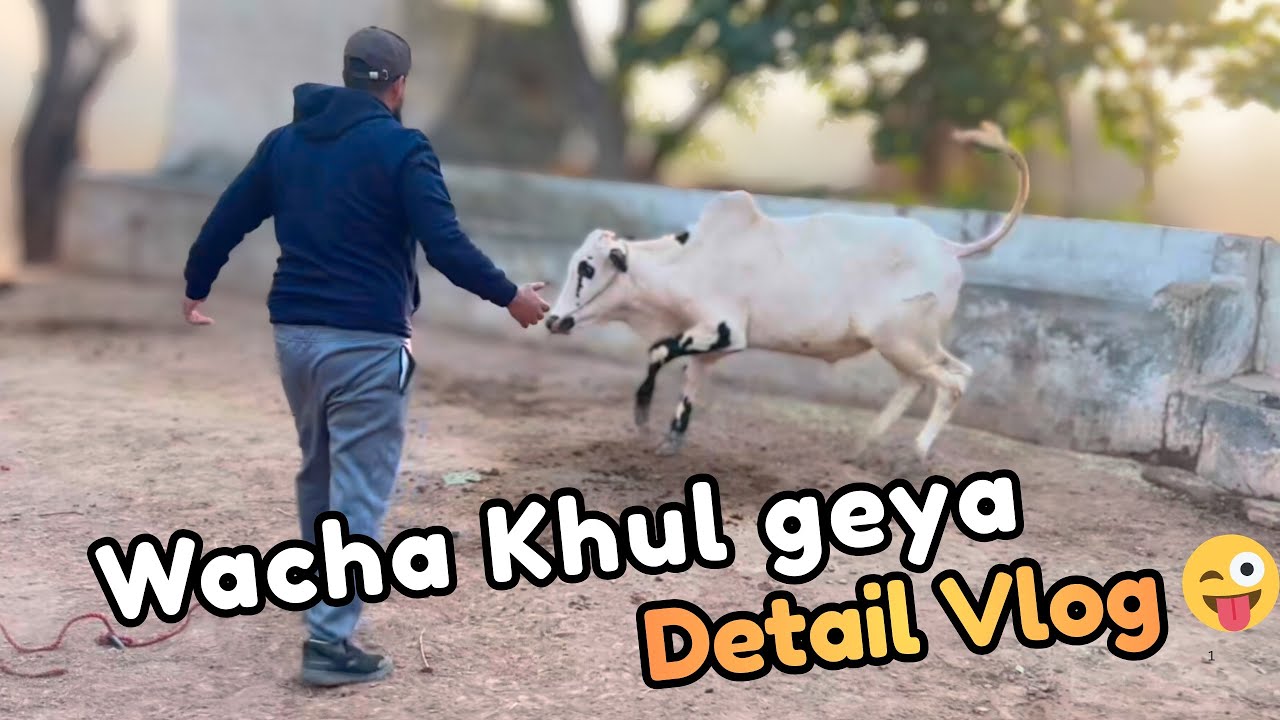 Wacha Khul Geya 😲 | Deera Mehria Rizvia | Full Detail Vlog 