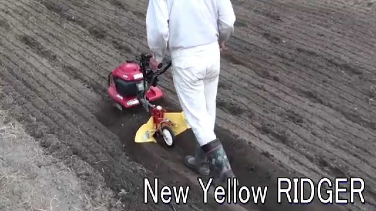 F220 New Yellow RIDGER (With a tail wheel)