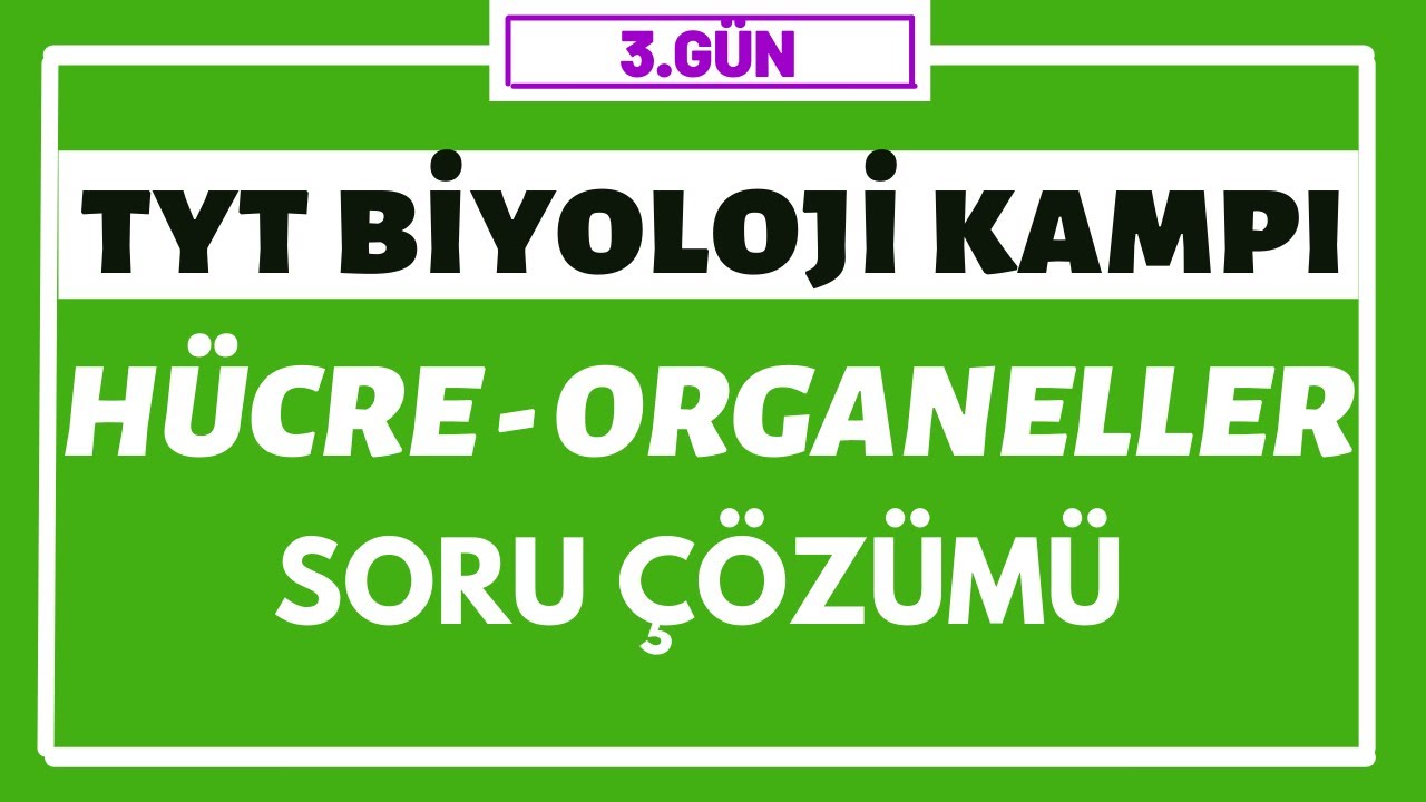 Hücre ve Organeller Soru Çözümleri | TYT BİYOLOJİ KAMPI | 3.gün |