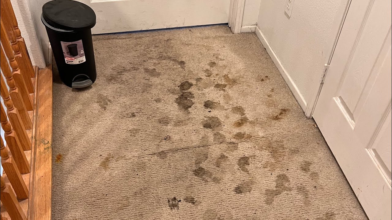 Vacuuming so crunchy…it’s SCARY! 🎃