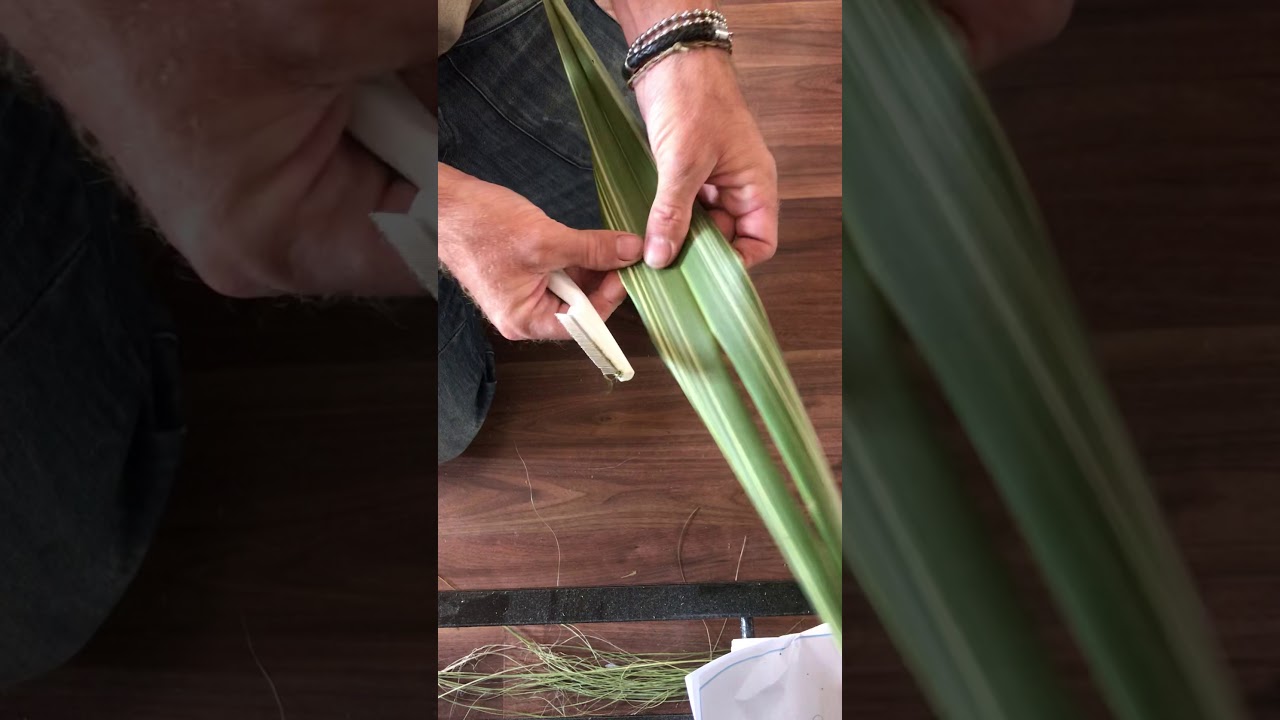 How I process nz flax for cordage