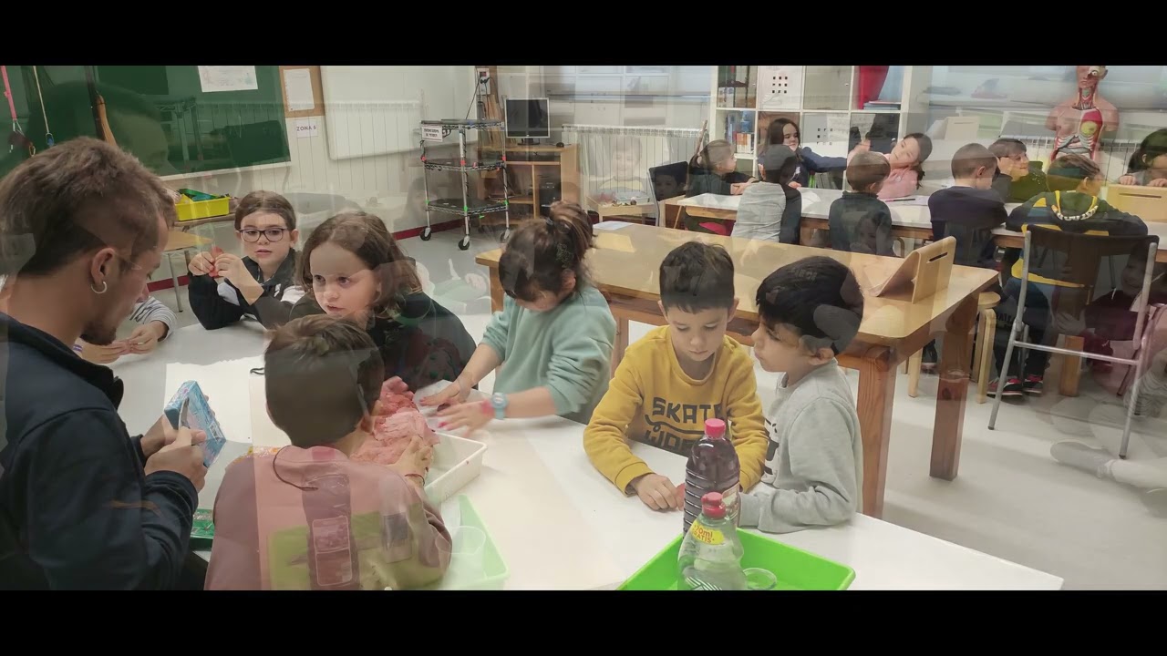 Treball per projectes