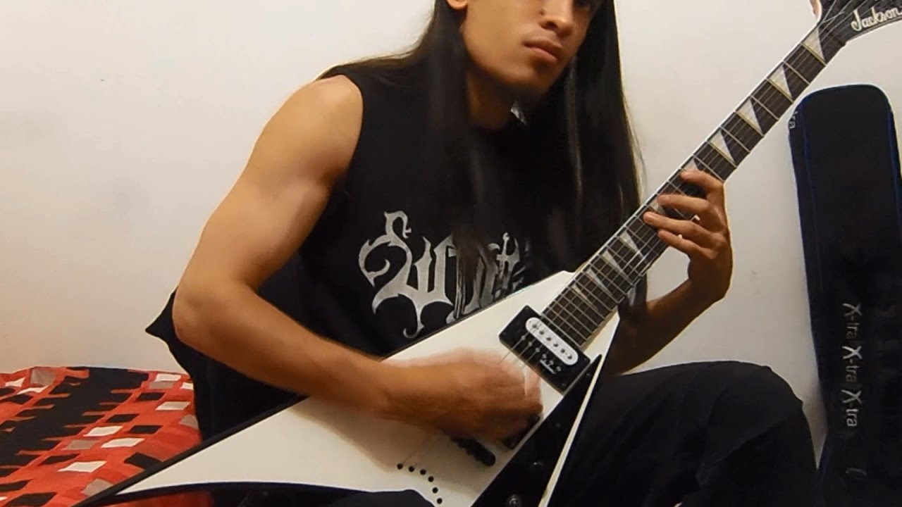 Windir - Journey to the End (Guitar Cover)