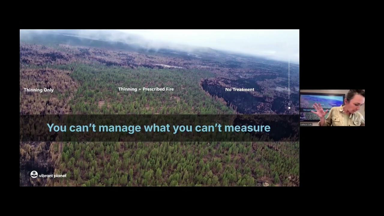 What Works, Where, and For How Long? Empirical Insights on Fuel Treatment Effects