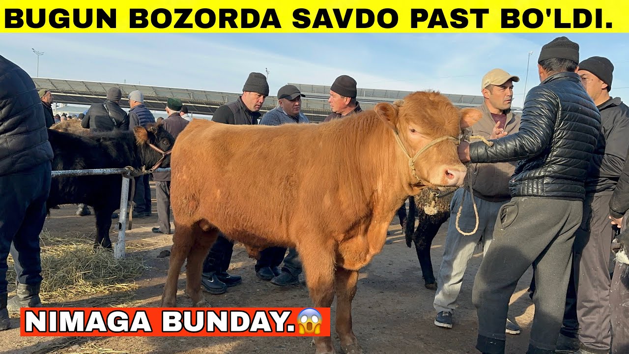 BOZORDA SAVDO YOQ ❌NARXLAR ARZONLADIMI?SAMARQANT SABXOZ NAMANGAN#2026 #molbozor 
