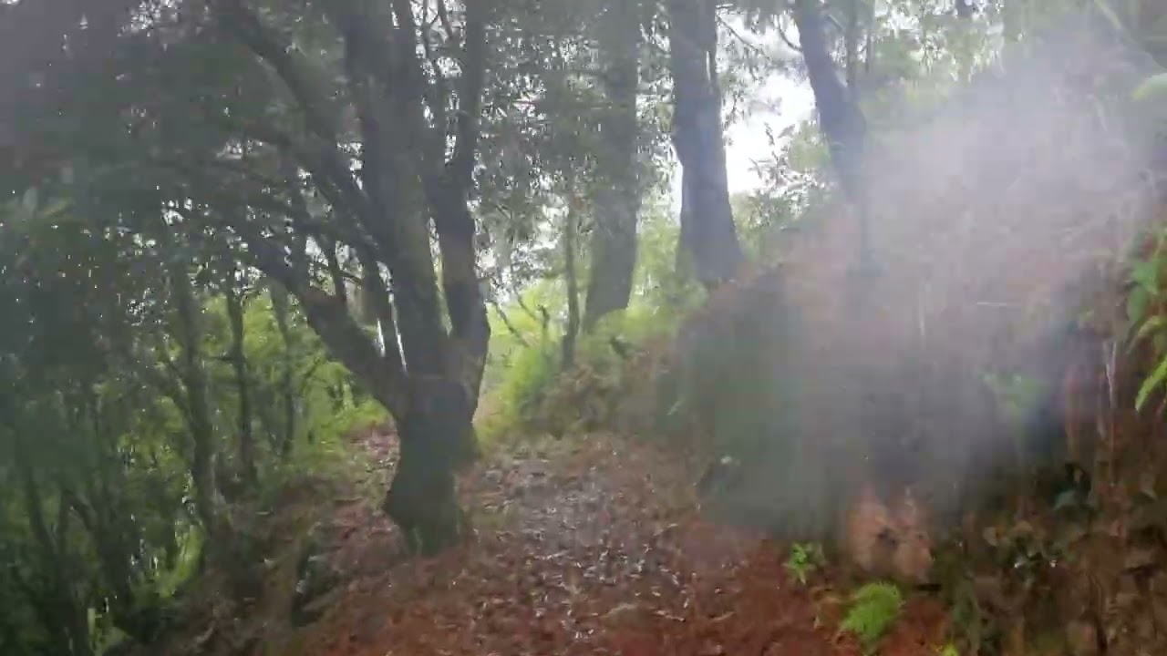 Hidden Hike Near Kathmandu | Godawari – Marble Dada – Tapeswor Mahadev – Taukhel