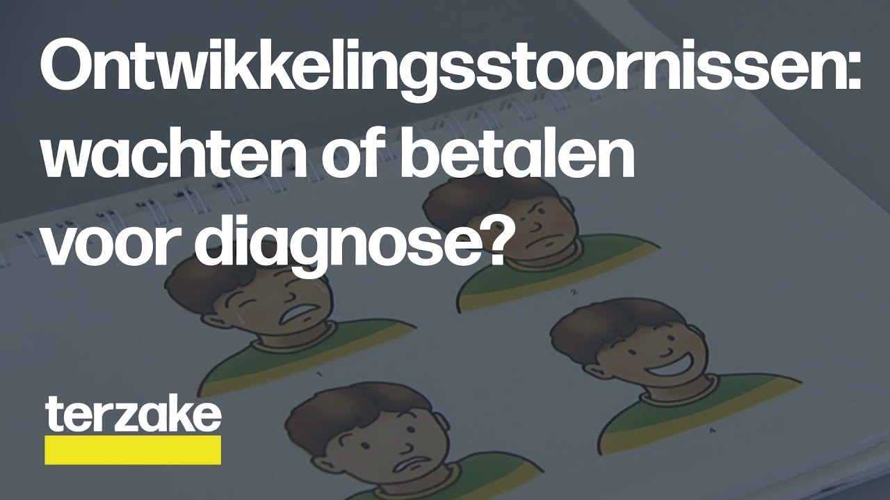 Lang wachten op diagnose ontwikkelingsstoornissen | Terzake