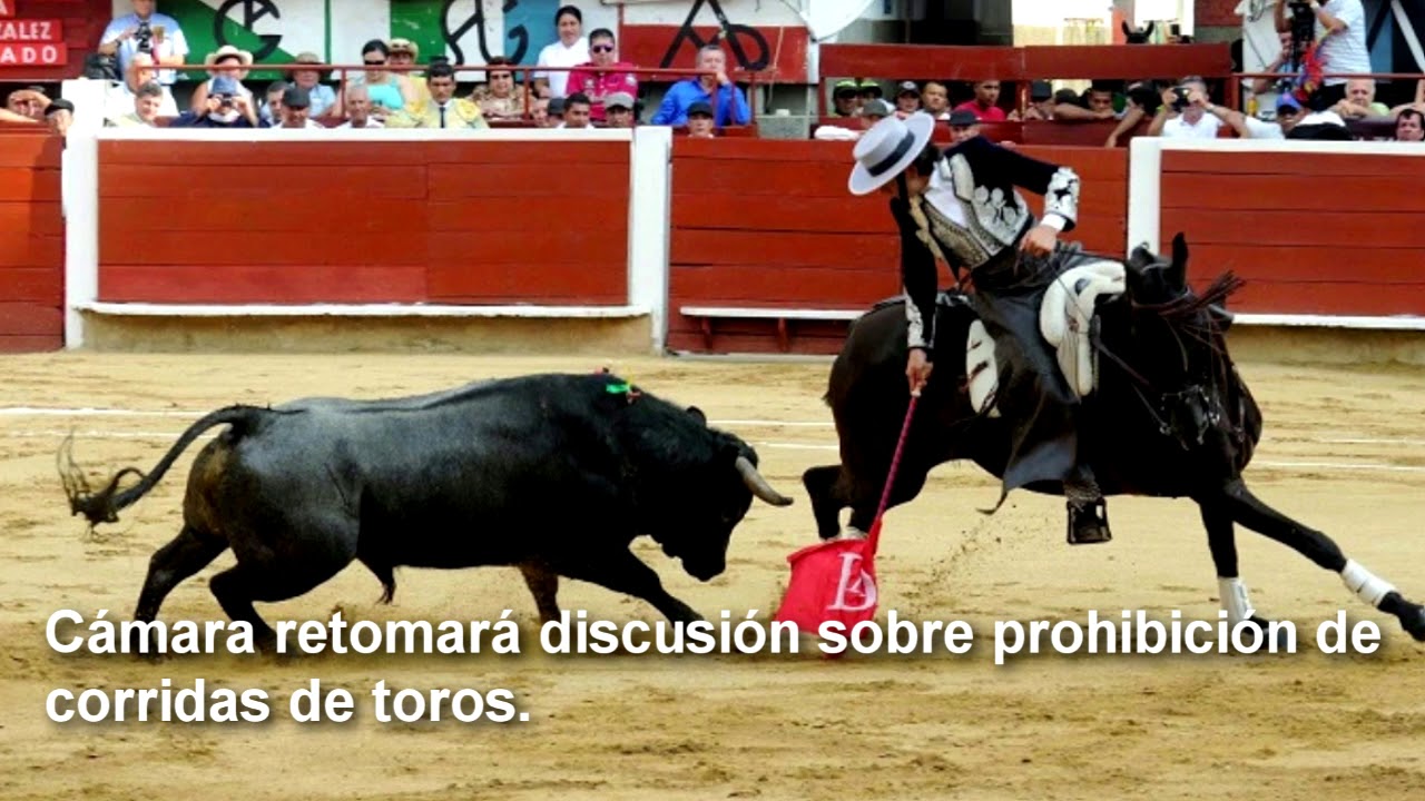#LaSemanadeLaC&aacute;mara resumen legislativo de la C&aacute;mara de Representantes