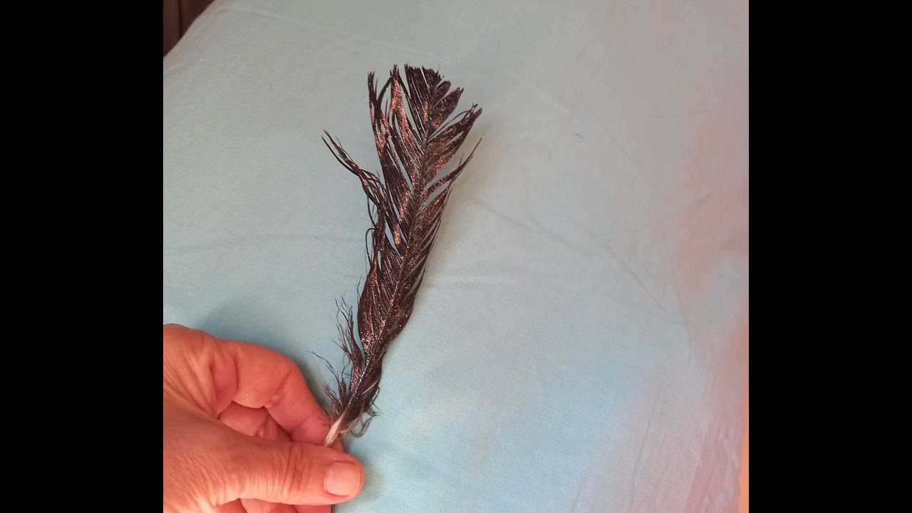 Significados Espirituais De Ver Penas No Nosso Caminho( Depoimento)