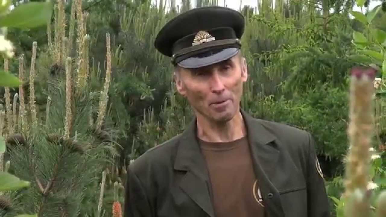 Miškininkai ir Lenkimų bendruomenė