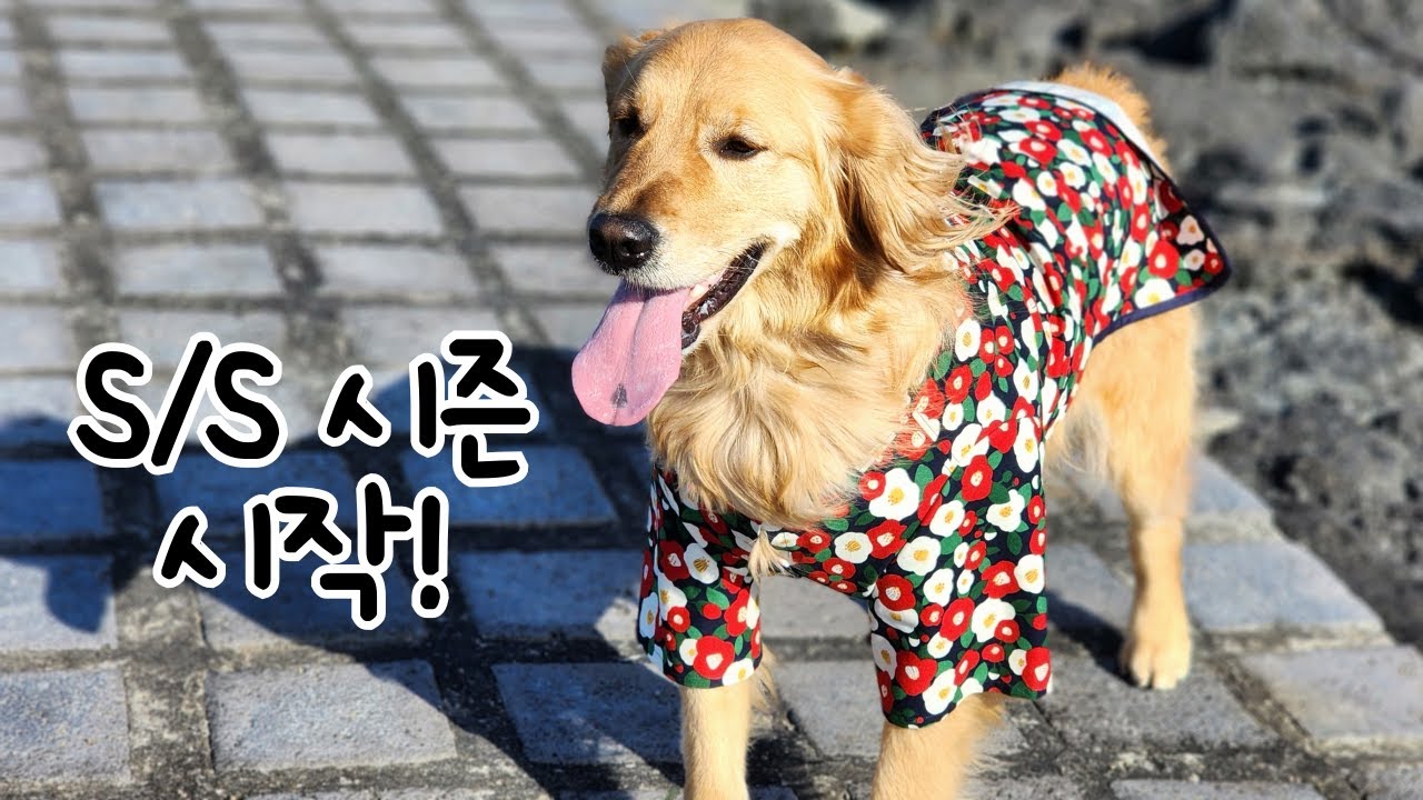 봄 신상 반팔티/올인원/재킷(이벤트 포함♥)