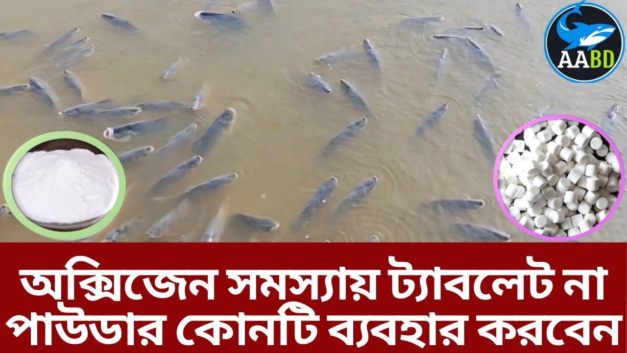 পুকুরে অক্সিজেন ঘাটতিজনিত সমস্যা হলে সোডিয়াম-পার-কার্বনেটের ট্যাবলেট বা পাউডার কোনটি ব্যবহার করবেন